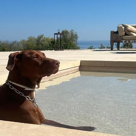 Vakantiehuis Trullo Dei Silvi 1 By Salento Prime Torre Vado